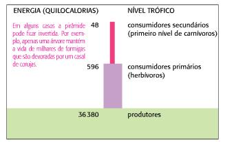 Cada parte da cadeia alimentar representa um