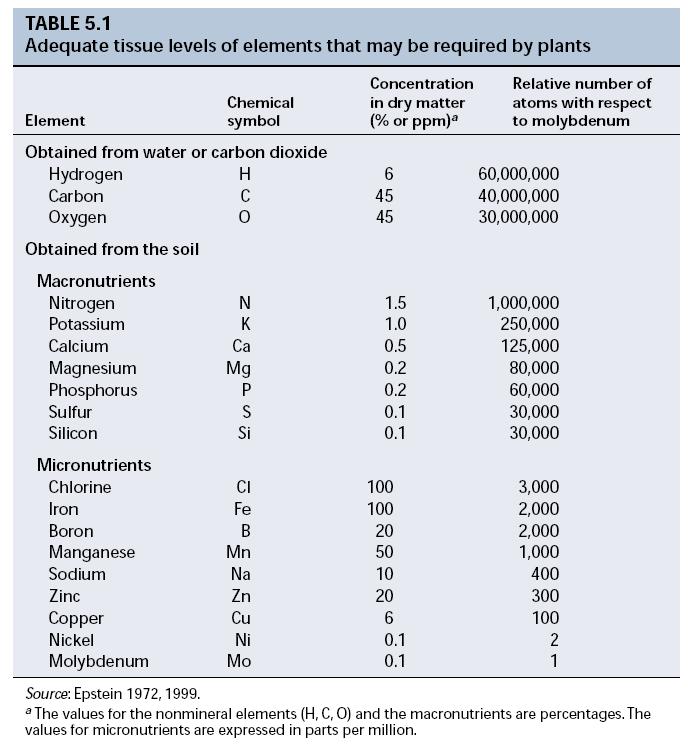 Fonte: água e CO 2 Origem não mineral MACRONUTRIENTES Fonte: solo Requeridos