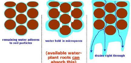 4.3. Características físico-químicas do solo - água no solo A água é essencial no solo, onde ocorre em três formas água higroscópica água capilar água livre ou gravitacional água higroscópica água