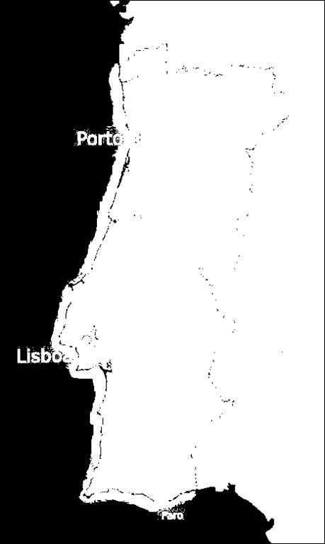 metropolitana, potenciando o seu desenvolvimento como cidade AV ;