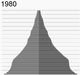 15. Os gráficos abaixo representam as pirâmides etárias da população brasileira das décadas de 1980 e 2000 e projeções para 2020 e 2040. Brasil: pirâmides etárias, 1980-2040 Fonte: http://www.ibge.