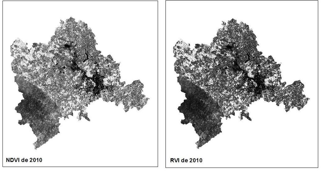 Figura 3: NDVI e RVI de 2010 Fonte: INPE e IBGE, adaptado no ArcGIS 9.3 e ENVI 4.