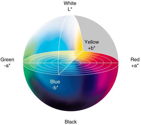 Quando os canais de cores são a* = 0 e b* = 0, então as cores são cinza.