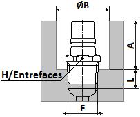 6162 G 3/8 28 26 13 Ø17 8.6252 NPT 3/8 28 26 13 Ø17 8 RMI 12.