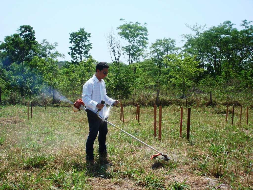 3.2 - Procedimentos metodológicos Incialmente a área experimental foi roçada a 20 cm de altura (Figura 2).