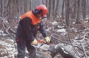 Se os trabalhadores estão sujeitos a baixas ou altas temperaturas (próximas dos 20º C ou +50º C), por exemplo, os trabalhadores florestais, é necessário seleccionar protectores adaptados a estas