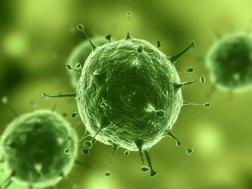 REF.ª 202 - Noções Básicas de Microbiologia e Higiene Alimentar Significado de microbiologia Noções básicas de microbiologia Principais microrganismos: - Vírus - Parasitas - Fungos - Bactérias