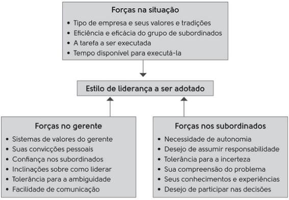 Meu Primeiro Concurso Noções de Administração Prof.