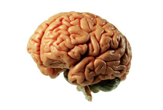 O cérebro é um órgão muito complexo e responsável pelas funções do nosso corpo.