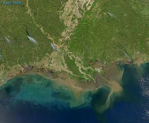 Delta do rio Mississippi - - Golfo do México Fluxos de sedimentos no meio