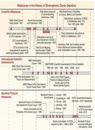 calcificação de organismos Aumenta