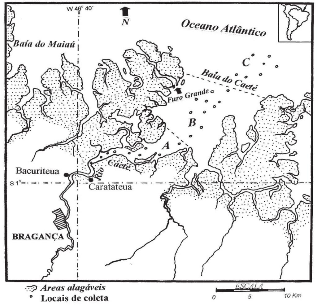 UAKARI, v.4, n.1, p. 23-28, jul.2008 Figura 1 - Estuário do rio Caeté, no litoral norte do Brasil.