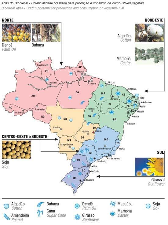 Figura 2 - Potencialidade brasileira na