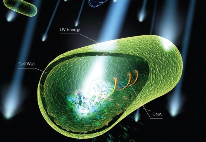 Introdução UV: radiação penetra nas células dos microrganismos, atingindo seu material genético (RNA e DNA), destruindo a capacidade
