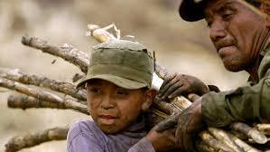 O mundo do Trabalho No mundo do trabalho, a pessoa e o trabalho são elementos chaves no ensino social da Igreja. O trabalho é um direito fundamental da pessoa humana.