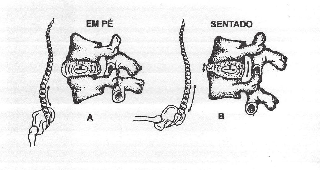 da porção posterior da coluna lombar 1966 - KNUTSSON ET AL - Avaliação EMG dos mm sacro espinhais