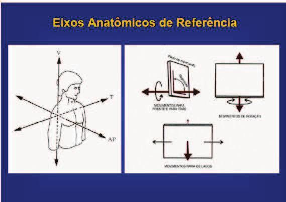 Planos e Eixos Terminologia Básica Planos e Eixos Frontal : anterior e posterior Sagital: