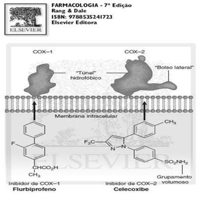 Fosfolipídeos Ácido Araquidônico Cicloxigenase PGG2 Fosfolipase COX 1 e COX 2 COX 1 COX 2 Prostaciclina Sintase PGH2 Tromboxano Sintase Prostaciclina (Endotélio) PGI2 Tromboxano A2 (Plaquetas) TXA2