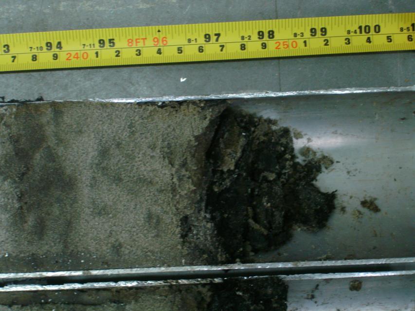 64 Figura 42 - Fragmento de carvão (em destaque) encontrado no testemunho praia do Peró, Cabo Frio/RJ.