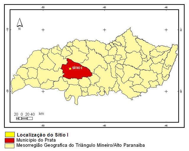 Revista Sapiência: sociedade, saberes e práticas educacionais UEG/UnU Iporá, v.1, n. 2, p.