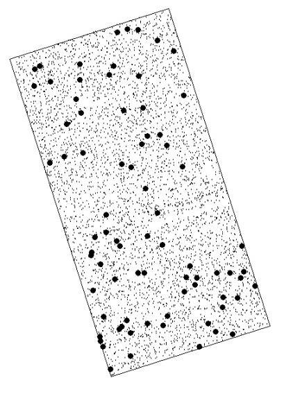 54 A B Figura 25. Distribuição espacial dos indivíduos de Scleronema micranthum (A) e (B) Padrão de distribuição espacial, função Ripley transformada L(r)-r no CEDAS - Rio Preto da Eva. A B Figura 26.