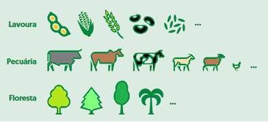 A integração lavoura-pecuáriafloresta (ILPF) é uma estratégia de produção agropecuária que integra diferentes sistemas produtivos, agrícolas, pecuários e florestais, dentro de uma mesma área.