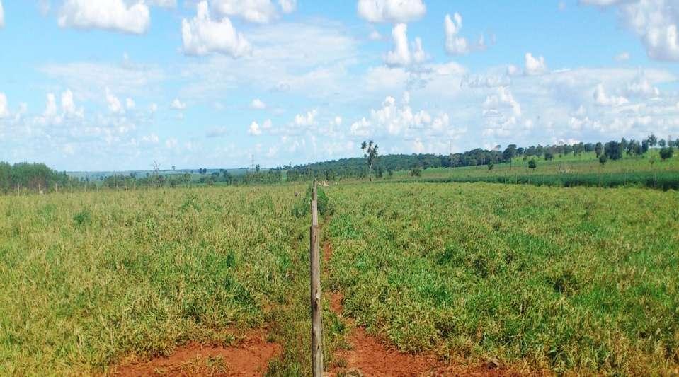 Fazenda São Mateus