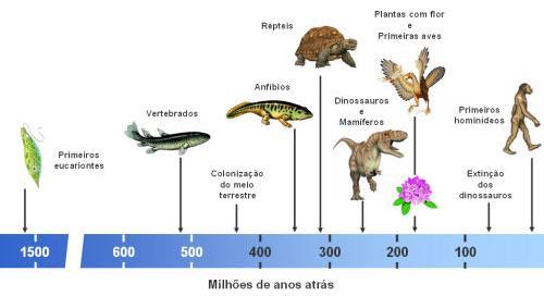 Evolução