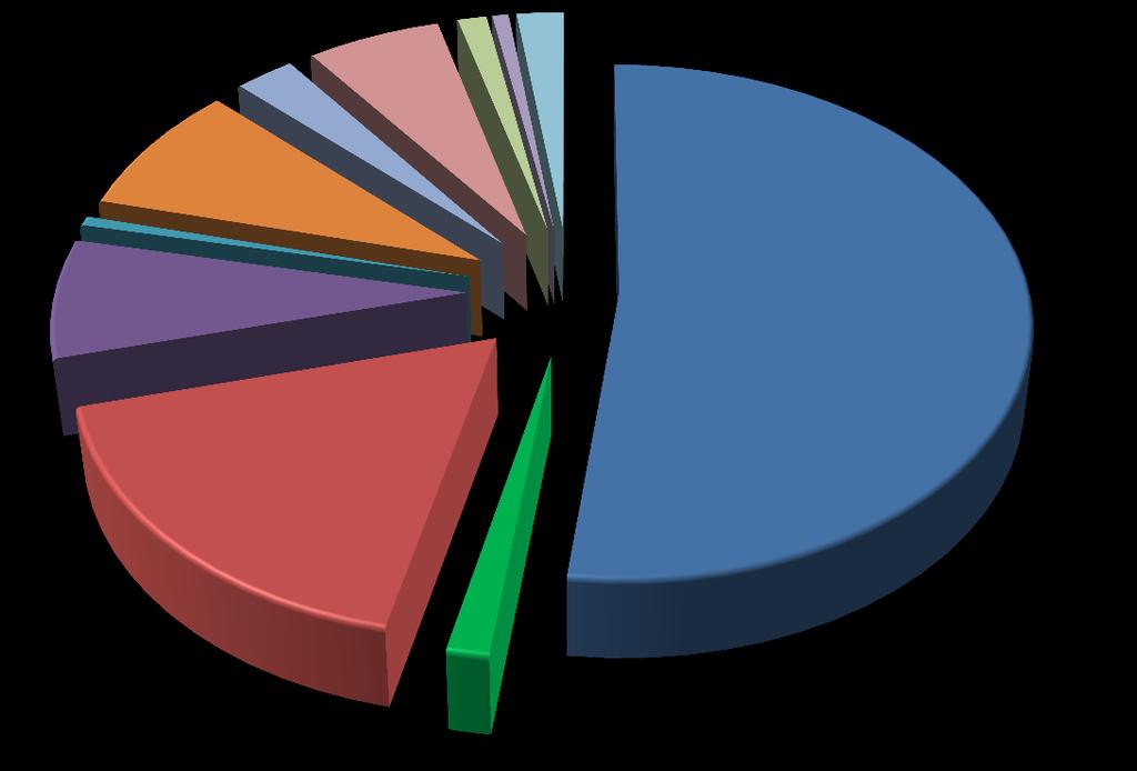 604 MW 8% Outras Biomassas 395 MW 1% Bagaço de Cana 5.018 MW 7% Óleo Combustível 4.