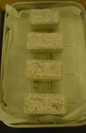 da formulação da argamassa de cal em pasta e 5 no caso da argamassa de cal em pó, cujas 4 faces laterais foram impermeabilizadas com recurso a uma resina epoxi (Sikadur 32 N [42]).