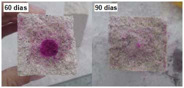 100 90 CaH 6 20 ± 0,8 100 N Número de provetes ensaiados As Figs. 5. 9 e 5. 10 exemplificam o aspecto de algunas superfícies dos provetes quando submetidos à presença da solução de fenolftaleína.
