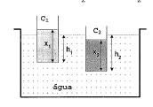 4. Dois vasos cilíndricos idênticos C 1 e C flutuam na água em posição vertical, conforme indica a figura.