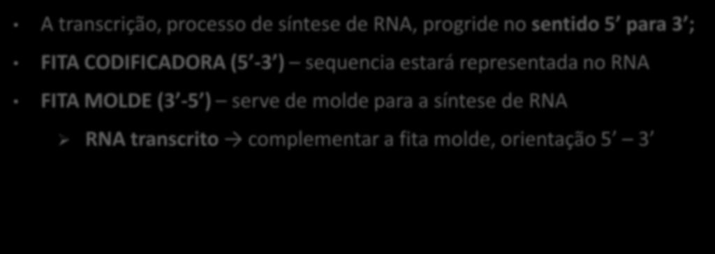 molde para a síntese de RNA RNA transcrito complementar a fita molde, orientação 5 3 Fita