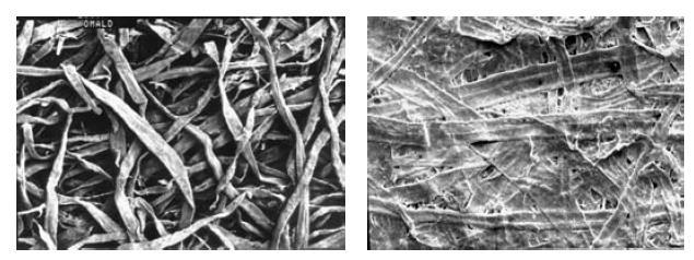 Refino da polpa e evolução das propriedades mecâncias do papel Durante o refino: - fibras colapsam - sofrem fibrilação da superfície - podem gerar