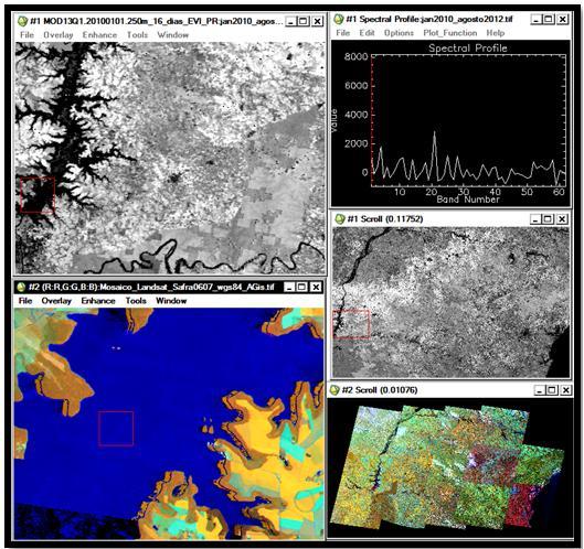 2012. A Figura 1b também ilustra uma imagem do sensor Modis sobre o estado do Paraná e um mosaico de imagens Landsat.