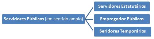 b) Servidores Estatais (ou Agentes Administrativos ou Servidores Públicos em sentido amplo): São as pessoas que prestam serviço público para a Administração, com natureza profissional e remunerada.