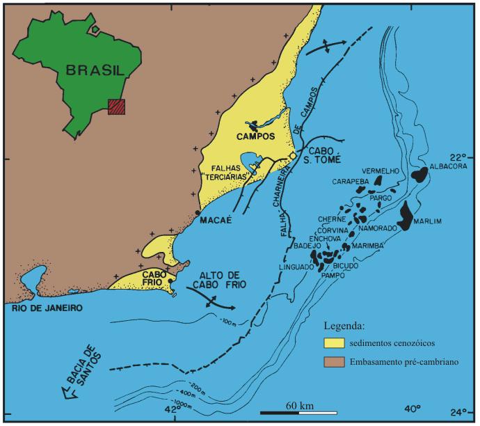 1. Introdução A área continental emersa adjacente à bacia de Campos caracteriza-se por um padrão de formas rômbicas na compartimentação do relevo, segundo estruturas de direção NE e E-W, apresentando