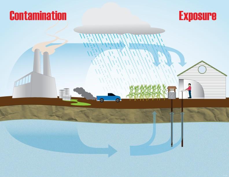 1) Fonte Contaminação 2) Contaminação através do ar, alimentos, água ou solo 3) Pessoas entram em