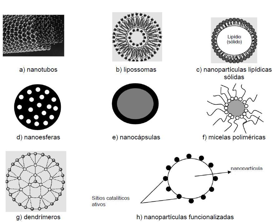 11 Figura 2: Diferentes tipos de nanocarreadores; (a) nanotubos de carbono, (b) lipossomas de fosfolipídios, (c) nanopar tículas lipídicas sólidas, (d) nanoesferas, (e) nanocápsulas, (f) micelas