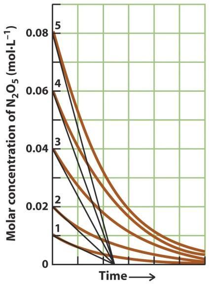 VELOCIDADE DAS REAÇÕES Exemplo: NH 4 + (aq) + NO 2 - (aq) N 2(g) + 2H 2 O (l) Velocidade = k. [NH 4+ ] m [NO 2- ] n m = 1 n = 1 Velocidade = k.