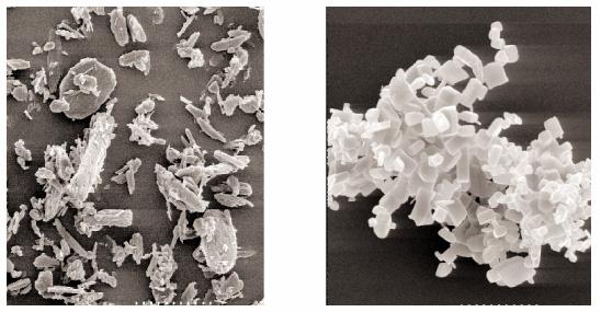 Expansiunea Rapida a Solutiilor SuperCritice (ERSSC) ACID NICOTINIC - imagini la microscopul