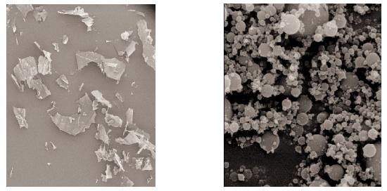 Expansiunea Rapida a Solutiilor SuperCritice (ERSSC) LYSOZIMA - imagini la microscopul