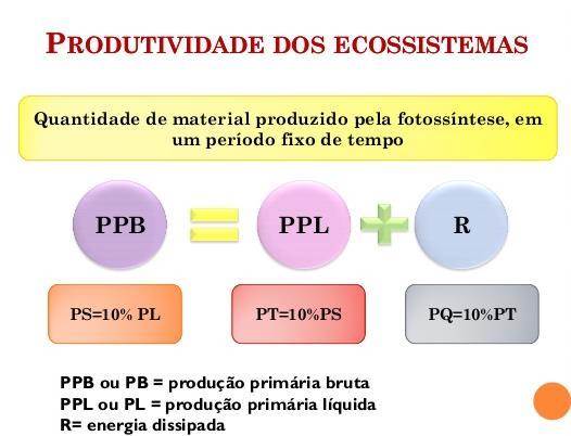 CONSUMIDORES SÃO HETERÓTROFOS E SE ALIMENTAM DE PRODUTORES OU OUTROS CONSUMIDORES.