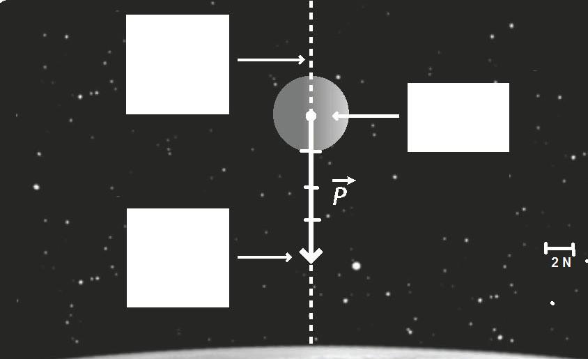 Indica o nome de cada uma das fases da Lua. C D 8.3.