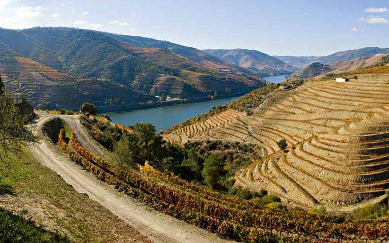 Acompanhando o serpentear do rio Douro, a Quinta Nova de Nossa