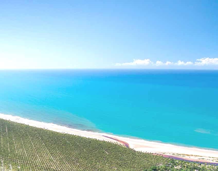 BRASIL Maraú, Bahia Na Fazenda Isabel Antunes, localizada no