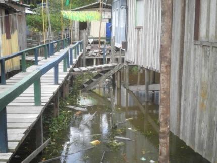 No município de Tefé, não se tem políticas públicas de saneamento básico adequado como: tratamento apropriado da água, tratamento e coleta de esgoto e coleta e deposição