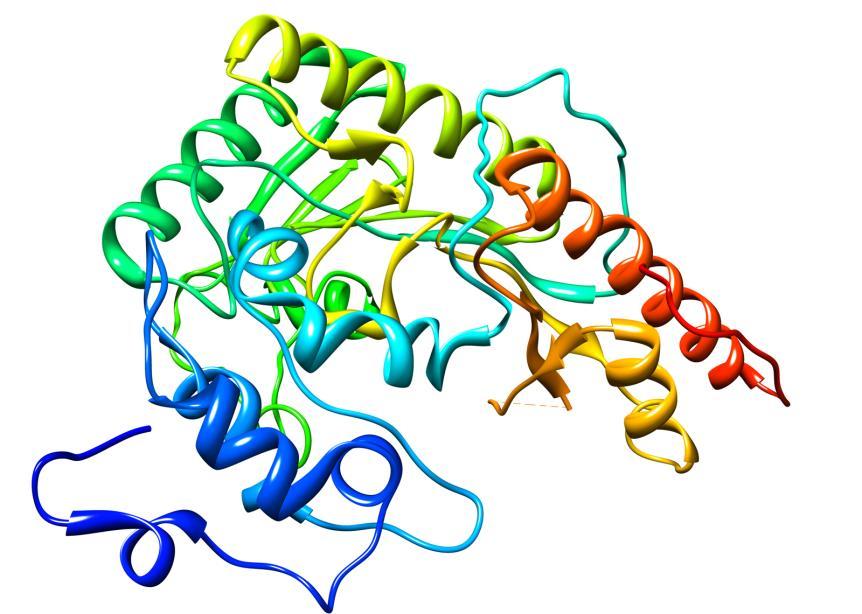 BIOMARCADORES nos SCA CK-MB Enzima citosólica envolvida na transferência de energia no metabolismo celular Relativamente