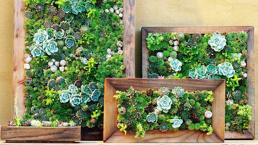 Outra peça incrível e que traz elegância e beleza para o ambiente onde ela é exposta.