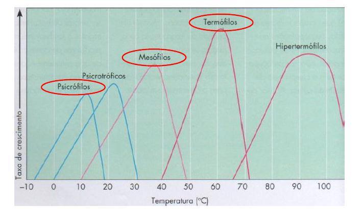 Temperatura Relação da temperatura com as taxas de crescimento.